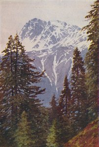 Toppen i Himalaya, 1924 av Unbekannt