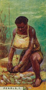 Pärlor 1. Native Diver at Work, Ceylon, 1928 av Unbekannt