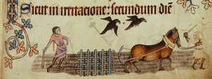 Bönder som plöjer från Luttrell Psalter, ca 1330 av Unbekannt