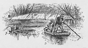 Abborre-fiske på sjön, 1883 av Unbekannt
