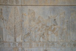 Persepolis, Iran (foto) av Unbekannt