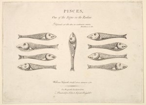 Fiskarna: Hogarths Quadrille Fish, ca. 1730. av Unbekannt