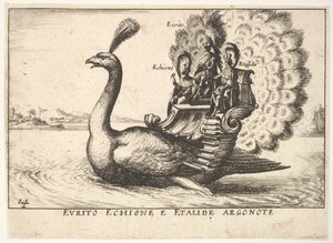 Plåt 14: Argonauterna Eurytus, Echion och Aethalides Eurito Echione e Etalide Argonote..., 1664 av Unbekannt