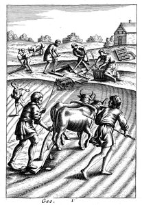 Plöjning med oxar, sådd av utsäde och harvning, 1700-tal av Unbekannt