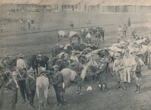 Rörmokarhäst, c1900. av Unbekannt