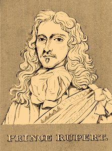 Prins Rupert, 1619-1682, 1830. av Unbekannt