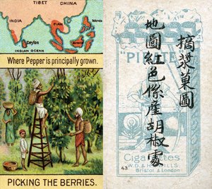 Huvudområden för produktion av peppar, från serien av "Products of the World" cigarettkort som produceras av Wills "Pirate" Cigarettes för marknaden i Kina av Unbekannt
