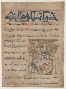 Egenskaper av Ringdoves recto, Om fördelarna med vaktar verso..., c. 1300. av Unbekannt