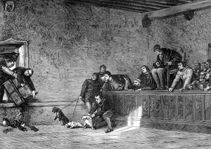 Råttstrider, rekreation av Ludvig XI av Frankrike, 1461-1483 1882-1884 av Unbekannt