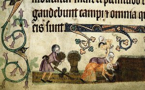 Skörda och binda kärvar från Luttrell Psalter, ca 1330 av Unbekannt