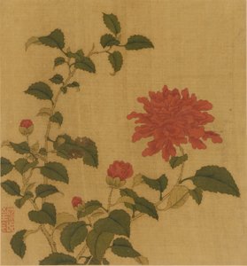 Röd pion, Qingdynastin, 1700-talet. av Unbekannt