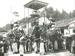 Religiös procession, Colombo, Ceylon, 1895. av Unbekannt