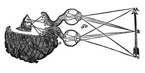 Rene Descartes idé om syn, som visar funktionen av ögat, synnerven och hjärnan, 1692 av Unbekannt