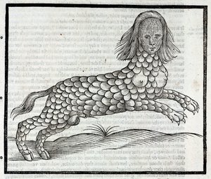 "Representation de la creature Lamia (Sybaris) Gravure däck av "History of Four-Footed Beastes" d