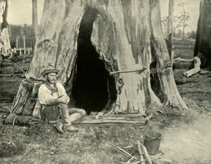 Vila, 1901. av Unbekannt