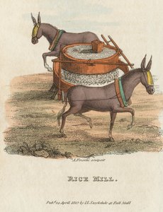 Riskvarn, 1813 av Unbekannt