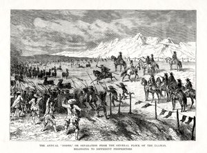 Rodeo, Sydamerika, 1877 av Unbekannt