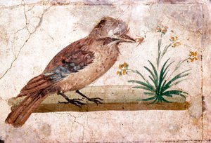 Romersk väggmålning av Jay från Boscoreale nära Pompeji, 1:a århundradet av Unbekannt