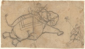 Running Elephant recto, övningsark med Elephant Sketches verso, mitten av 1700-talet. av Unbekannt