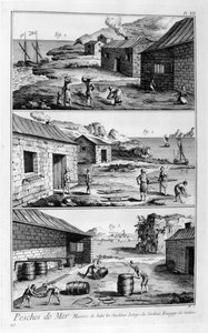 Saltning, tvättning, packning av sardiner, 1751-1777 av Unbekannt