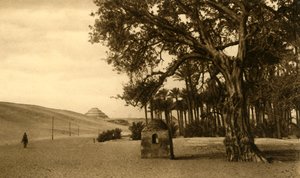 Saqqara - Stegpyramiden sett från Sycomore, c1918-c1939. av Unbekannt