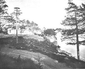 Savin Rock, New Haven, Connecticut, USA, c1900. av Unbekannt