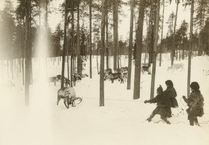 Sverige. Trasa (frö) när man fångar en ren. Omkring 1900 av Unbekannt