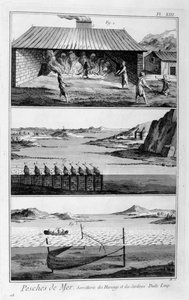 Havsfiske, sill och sardiner, 1751-1777 av Unbekannt