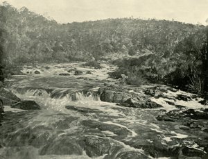 Andra bassängen, South Esk River, 1901. av Unbekannt