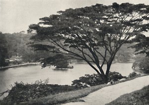 Lake, Temple of the Sacred Tooth Reed och bibliotek i Kandy, sett österut från Victoria Drive, 192 av Unbekannt