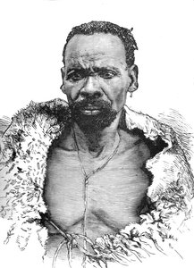 Trä, c1880 av Unbekannt
