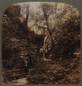 Shanklin Chine of World-wide fame, Isle of Wight, England, c1910. av Unbekannt