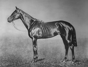 Fröken, 1905-1928, 1911 av Unbekannt