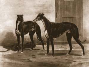 Simonian och Fullerton, c1891, 1911. av Unbekannt