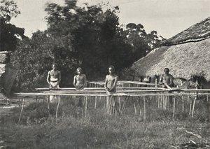 Singalesiska kanelarbetare på jobbet, 1926 av Unbekannt