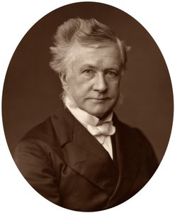 Sir Robert Lush, domare vid High Court of Justice, 1881 av Unbekannt