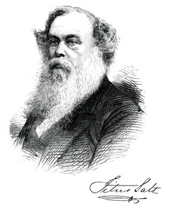 Sir Titus Salt, brittisk tillverkare och välgörare, c1880 av Unbekannt