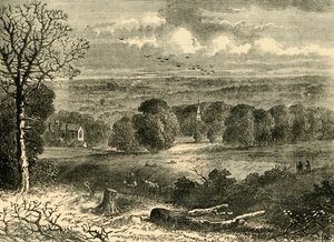 Plats för Crystal Palace 1852, c1878. av Unbekannt