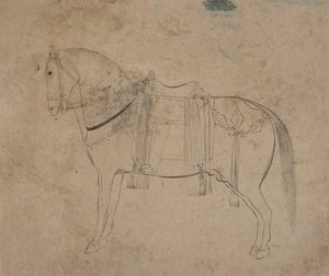 Sketch of a Horse, sent 1700-tal. av Unbekannt