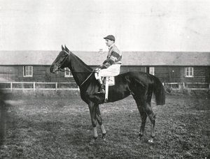 Skyskrapa, 1911. av Unbekannt