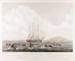 South Sea Whale Fishery, 1825 av Unbekannt