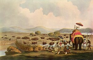 Sport i Indien - Driving Elephants Into A Keddah, c1808, 1901. av Unbekannt