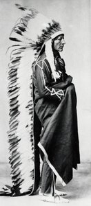 Stående björn, chef för Dakota Sioux, North American Plains Indians, c1885-c1890 av Unbekannt
