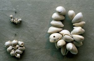 Strängar av Cowrie-skal av Unbekannt