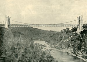 Hängbro, norra Sydney, 1901. av Unbekannt
