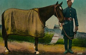 Syce, c1910 av Unbekannt