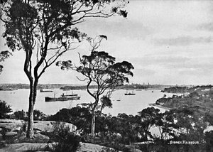 Sydney Harbour, från Cremorne Point, c1900. av Unbekannt