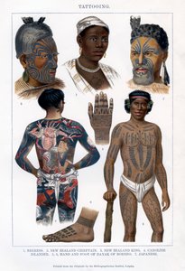 Tatuering, 1800-1900 av Unbekannt