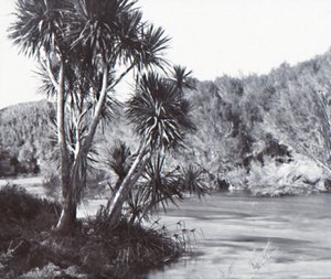 Te Waihou River, Okoroire, sent 1800-tidigt 1900-tal. av Unbekannt
