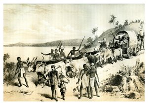Ankomsten till sjön Ngami, 1883 av Unbekannt